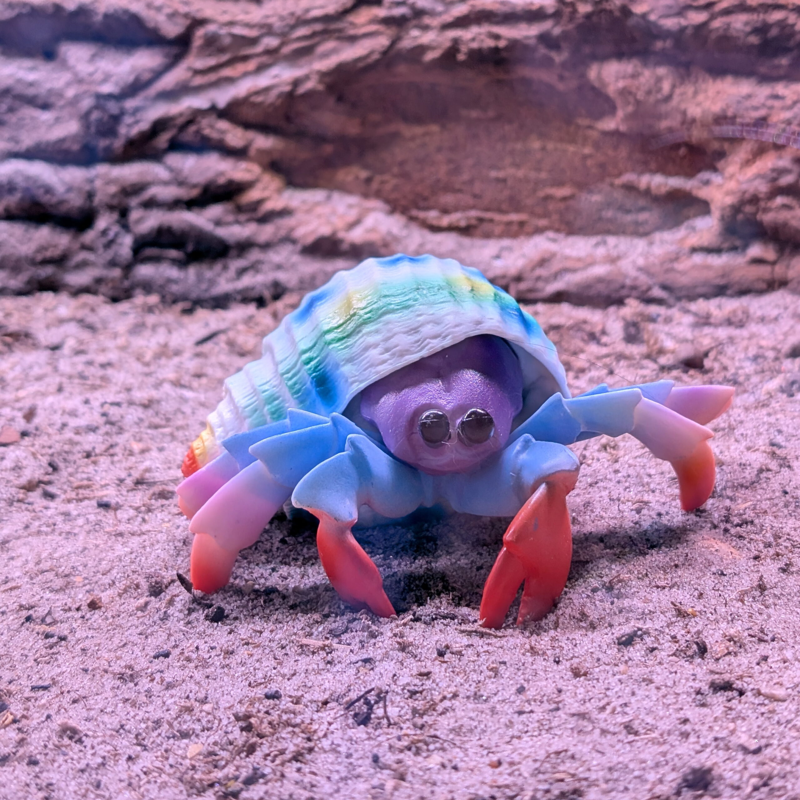 Lifelike Hermit Crab Toy Figure – Hermit Crab Keeper Companion - Image 4