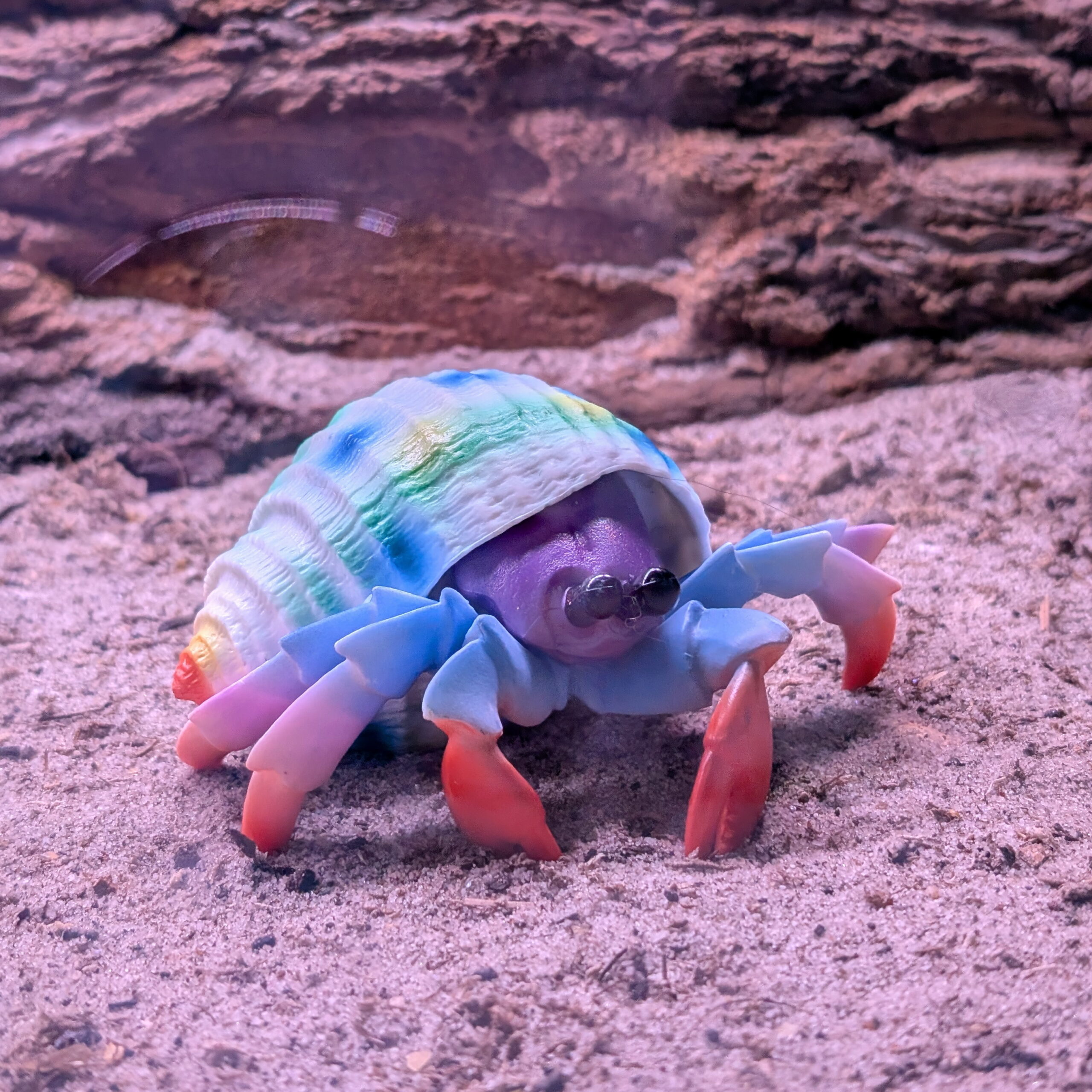 Lifelike Hermit Crab Toy Figure – Hermit Crab Keeper Companion - Image 2