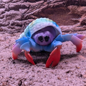 Lifelike Hermit Crab Toy Figure – Hermit Crab Keeper Companion