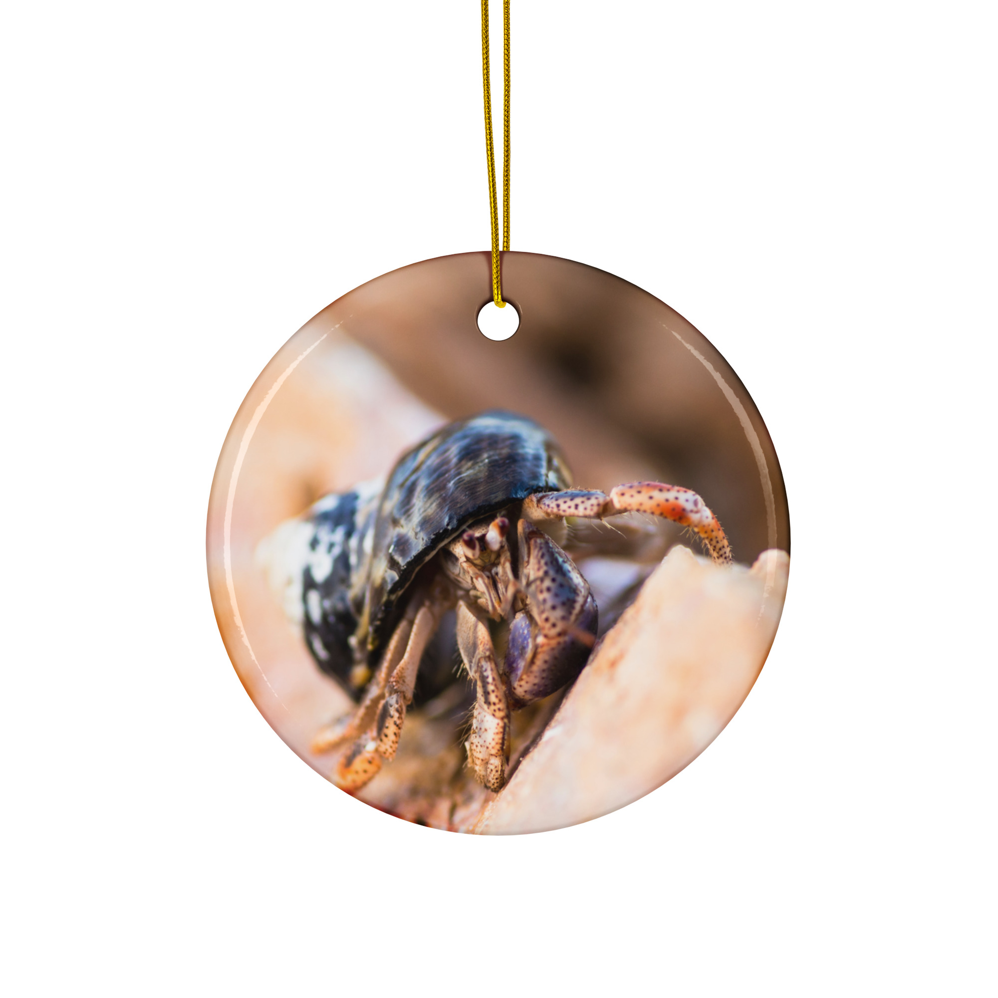 Hermit Crab tan Ceramic ornament