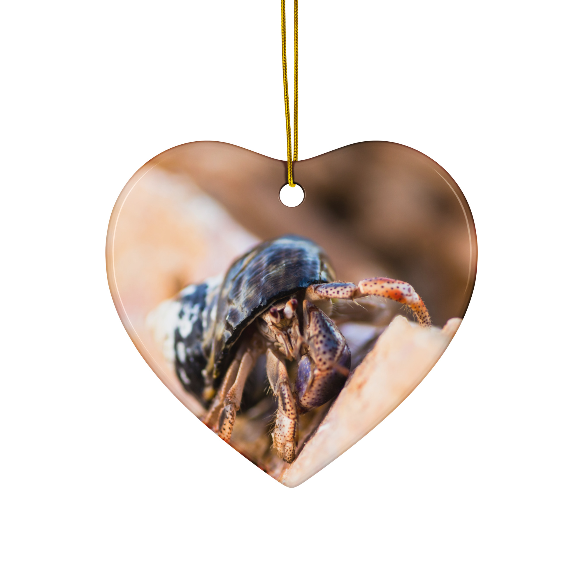 Hermit Crab tan Ceramic ornament - Image 2