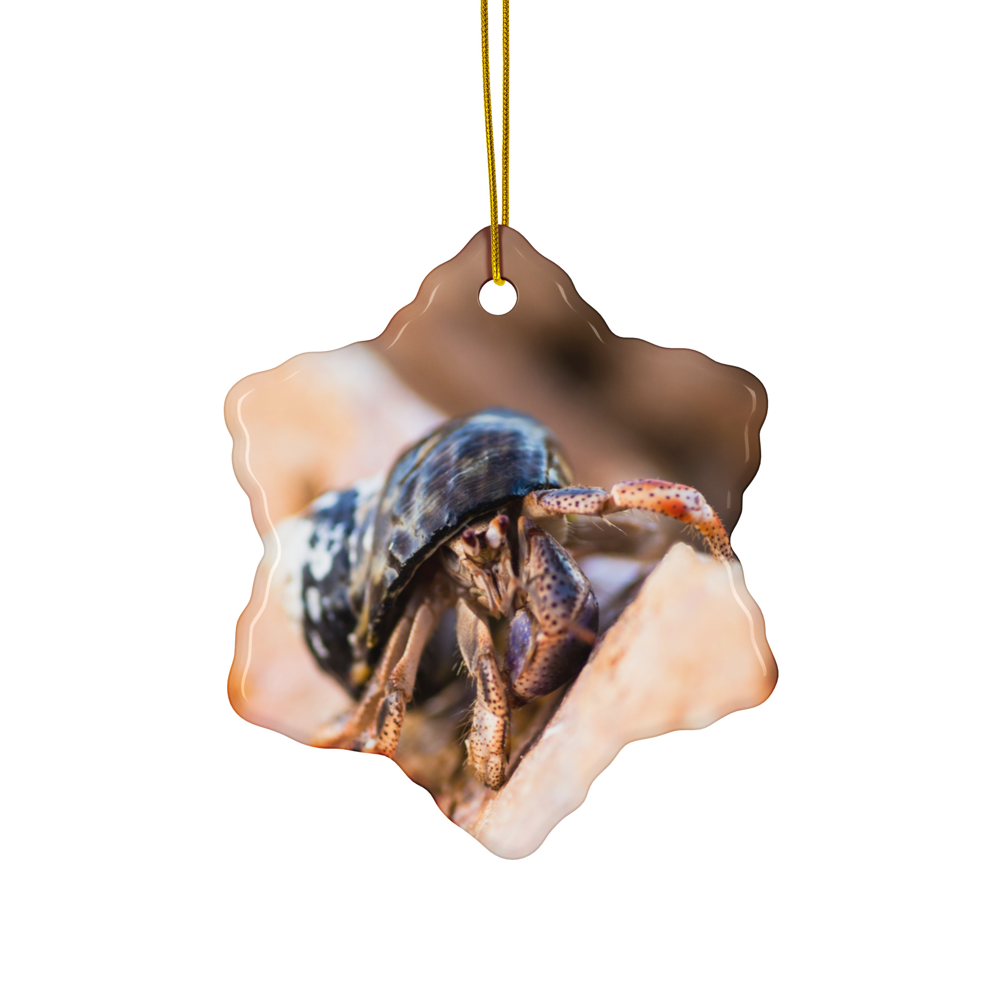 Hermit Crab tan Ceramic ornament - Image 3