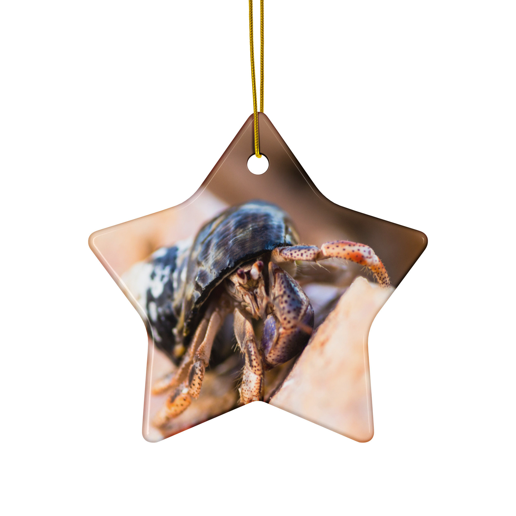 Hermit Crab tan Ceramic ornament - Image 4