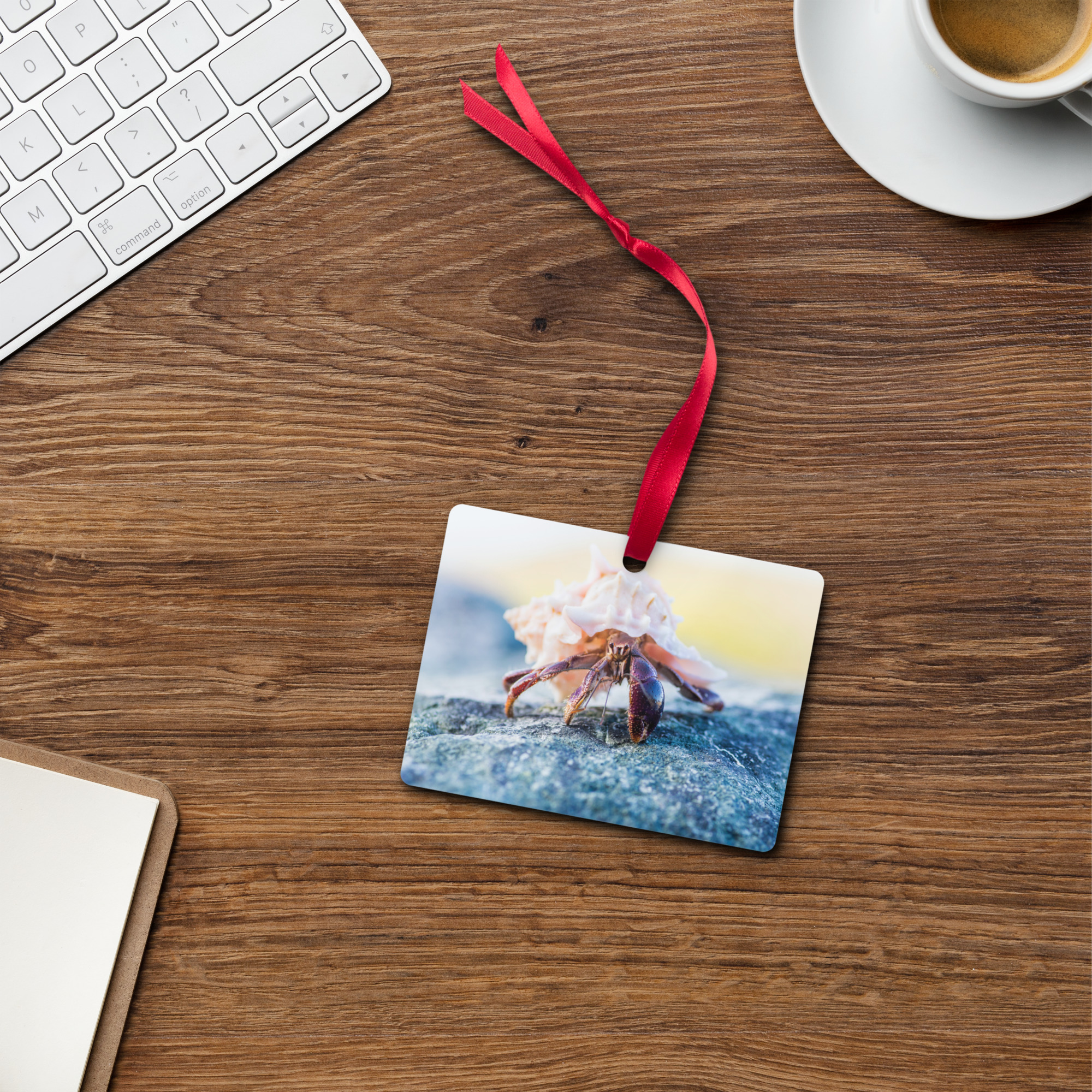 Hermit Crab blue Metal ornament - Image 3