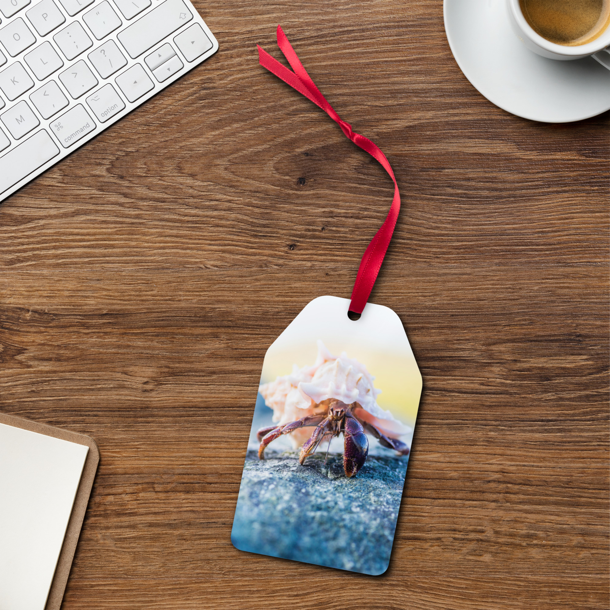 Hermit Crab blue Metal ornament - Image 7