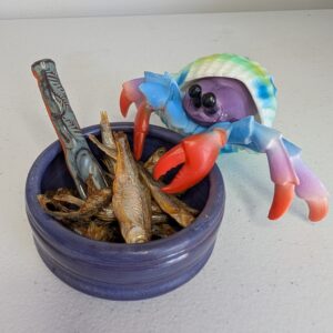 Whole Dried Freshwater Fish (½ oz) – Natural Protein & Calcium Source for Hermit Crabs