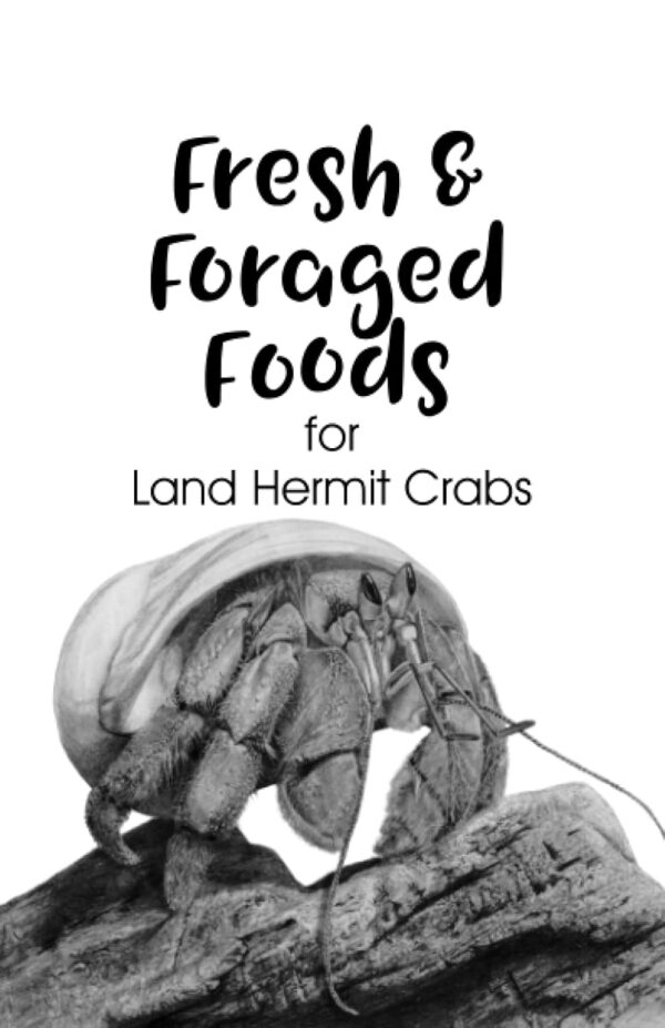 Fresh and Foraged Foods for Land Hermit Crabs