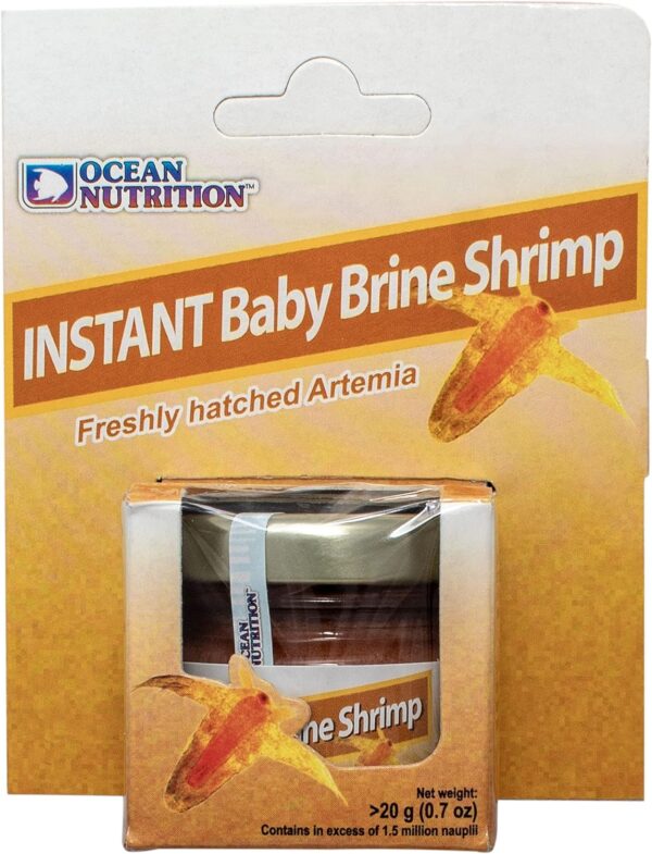 baby brine shrimp