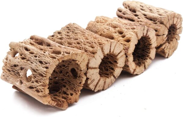 All Natural Teddy Bear Cholla Wood