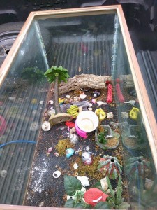 How do I clean my hermit crab tank (crabitat)? | The Crab Street Journal