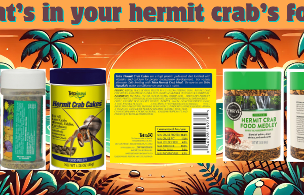 Adulterants & Additives in hermit crab food